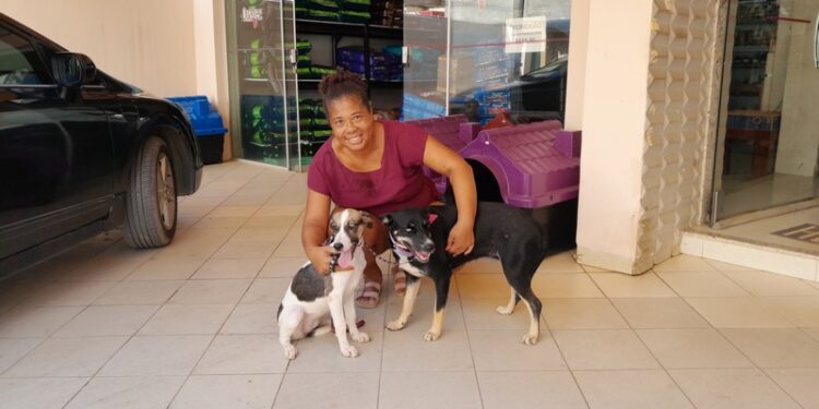 Programa Pet Vida ultrapassa cem animais cadastrados em Barra de São Francisco