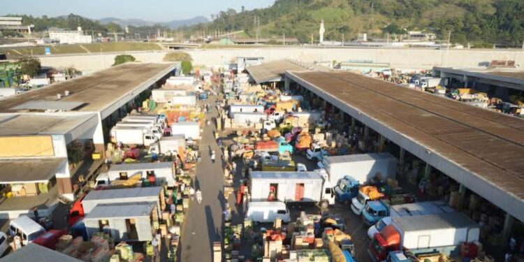 Ceasa abre concurso para contratar 35 servidores efetivos