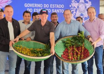 Estado prevê aumento de até 50% na produção de café em relação à safra de 2023