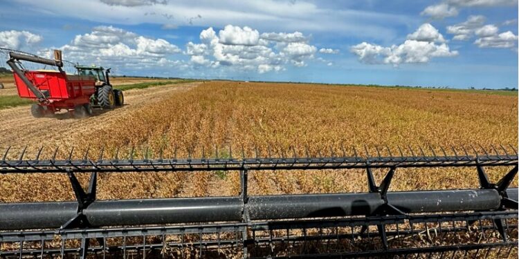 Crédito rural aumenta 30% no ES e agricultura se moderniza Crédito rural aumenta 30% no ES e agricultura se moderniza