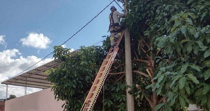 Prefeitura de Barra de São Francisco realiza mutirões na substituição de lâmpadas queimadas em todo município