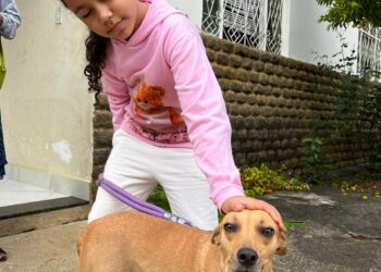 Em menos de dois meses funcionando em Barra de São Francisco, Programa Pet Vida se destaca no cuidado e bem-estar animal; conheça