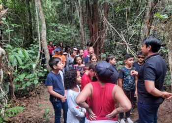 BSF: Semma inicia programação de semana Ambiental; confira