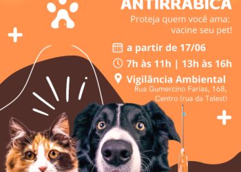 Campanha de vacinação antirrábica começa na próxima segunda-feira (17) em Barra de São Francisco