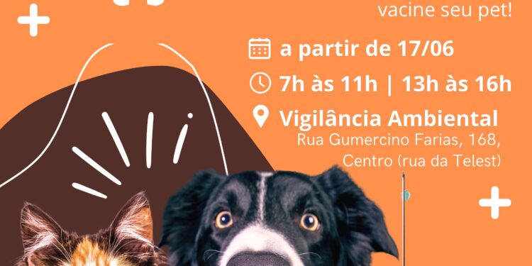 Campanha de vacinação antirrábica começa na próxima segunda-feira (17) em Barra de São Francisco