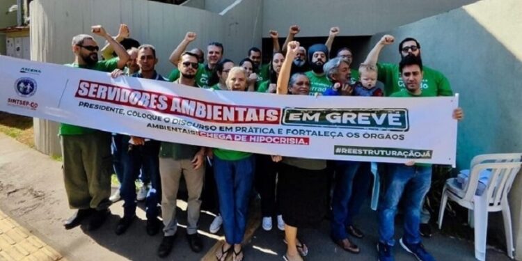 Greve do Ibama atrasa emissão de licenças para projetos da Petrocity em porto e ferrovias
