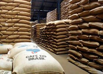 Conilon continua com preço melhor do que arábica, mas apagão atrapalha exportações