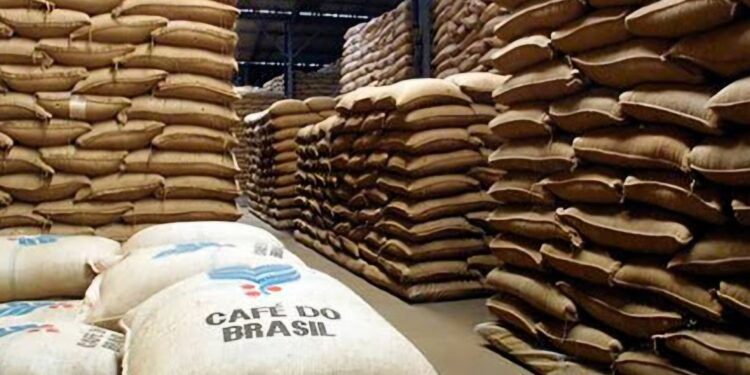 Conilon continua com preço melhor do que arábica, mas apagão atrapalha exportações