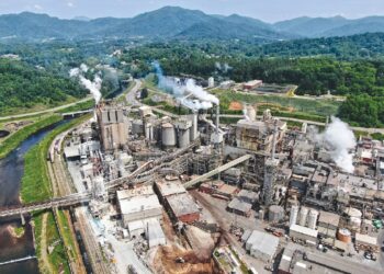 Suzano investe 110 milhões de dólares em aquisição de empresas americanas