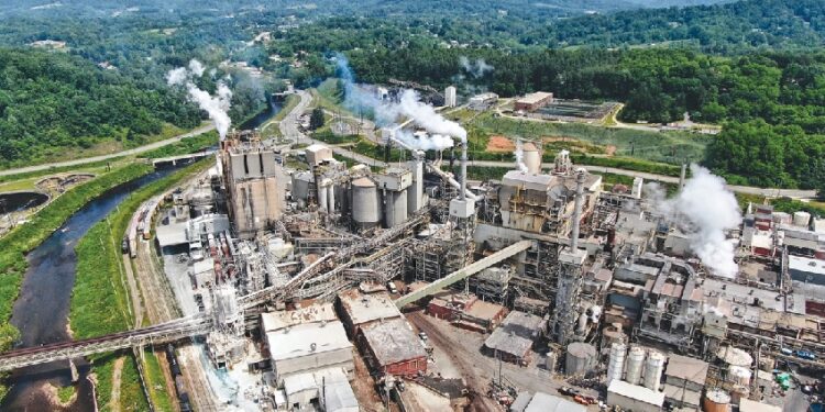 Suzano investe 110 milhões de dólares em aquisição de empresas americanas