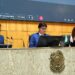 CCJ aprova projeto de lei que pune quem abusar de preços em tempos de calamidade