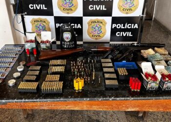 Polícia prende em Vila Pavão homem que vendia armas a criminosos da região