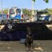 PM apreende mais de meia tonelada de maconha e 5kg de crack em bar na beira da  BR