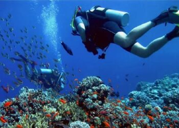 Guarapari ganha título de Capital Nacional da Biodiversidade Marinha