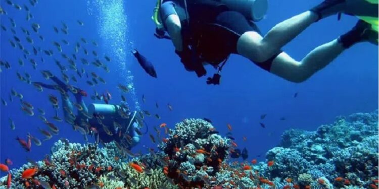 Guarapari ganha título de Capital Nacional da Biodiversidade Marinha