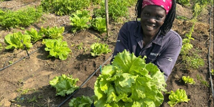 Projeto de hortas familiares garante permanência de famílias no campo no Norte do ES