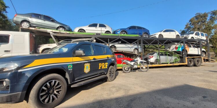 Ponto final para a cegonha: três “bebês” adulterados na carga