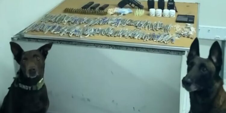 No Moscoso e Piedade, apreensão de dragas, armas e munições