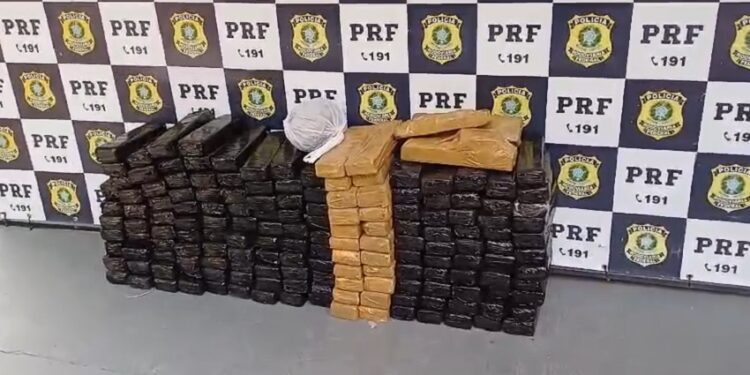 Saiba para onde estavam indo os 136kg de maconha apreendidos pela PRF no Sul do Estado