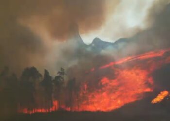 A terra em chamas, mudanças climáticas e sobrevivência