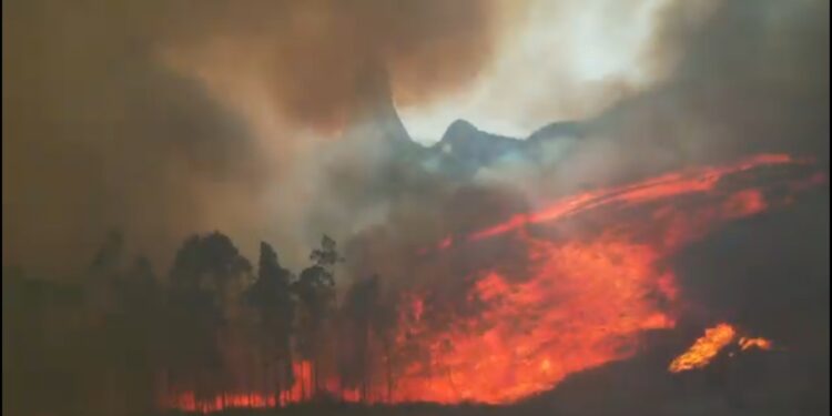 A terra em chamas, mudanças climáticas e sobrevivência