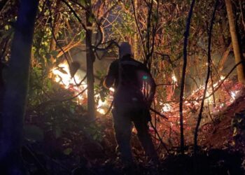 Emergência coloca bombeiros em operação  especial contra incêndios no ES