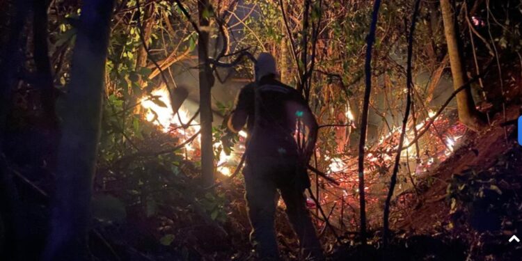 Emergência coloca bombeiros em operação  especial contra incêndios no ES