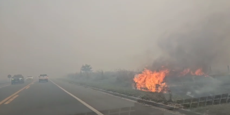 Grande incêndio interdita a BR 101 em Linhares
