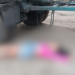 Mulher é encontrada morta a tiros perto da BR 101 em Ibiraçu Mulher é encontrada morta a tiros perto da BR 101 em Ibiraçu