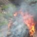 Incêndio volta a atingir morro da pedra da tirolesa em Pancas