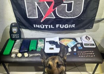 Polícia Militar apreende drogas e armas em Nova Venécia