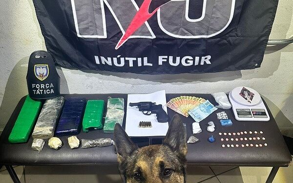 Polícia Militar apreende drogas e armas em Nova Venécia