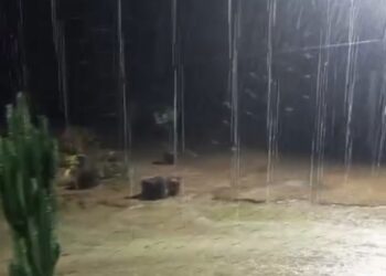 Chuvas chegam ao Norte e devolvem esperança aos produtores