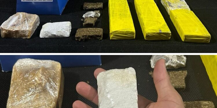 Força Tática e K9 apreendem mais de 3 quilos de drogas na Vila Landinha, em Barra de São Francisco