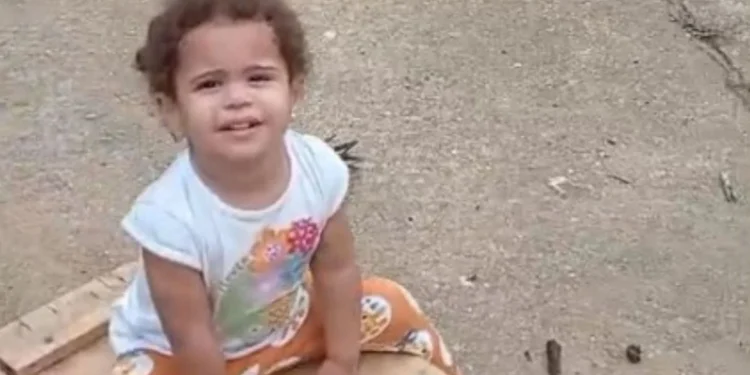 Criança de dois anos morre afogada em poço de peixe em Itarana