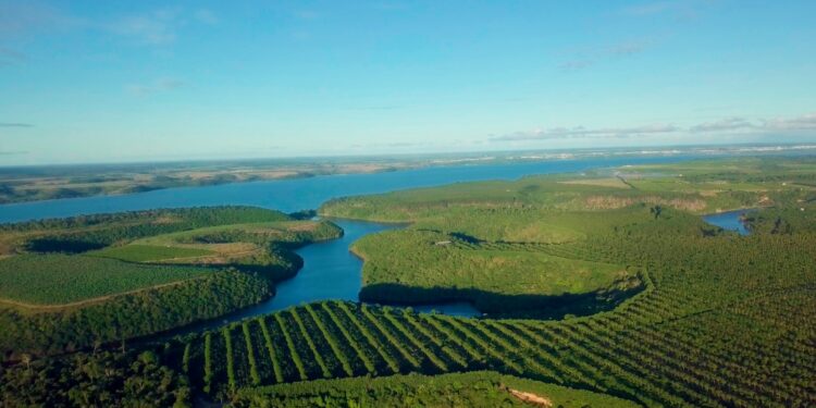 Rota do Cacau Capixaba: governador sanciona lei que incentiva turismo na região do verde e das águas Rota do Cacau Capixaba: governador sanciona lei que incentiva turismo na região do verde e das águas