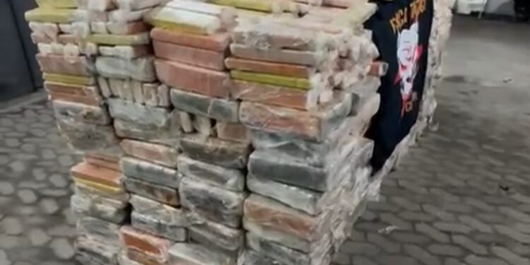 Impressionante! Veja o vídeo com a “montanha” de quase 3 toneladas de maconha apreendida pela PM na Serra