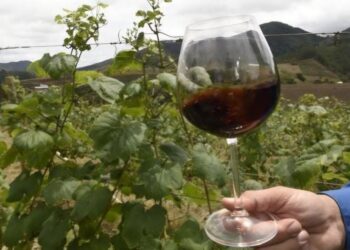 Turismo: seminário nas Montanhas promove troca de experiências entre ES, SP e RS