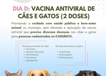 Programa Pet Vida, em Barra de São Francisco, realizará vacinação antiviral de cães e gatos; veja o cronograma