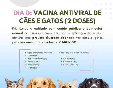 Programa Pet Vida, em Barra de São Francisco, realizará vacinação antiviral de cães e gatos; veja o cronograma