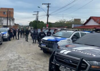 Sacode em Boa Esperança: veja fotos dos 14 presos em operação contra o tráfico