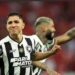 Botafogo adia o sonho do título brasileiro Botafogo adia o sonho do título brasileiro