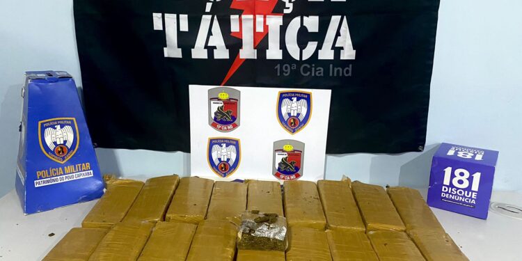 PM faz apreensão recorde de 14kg de maconha em Pinheiros PM faz apreensão recorde de 14kg de maconha em Pinheiros