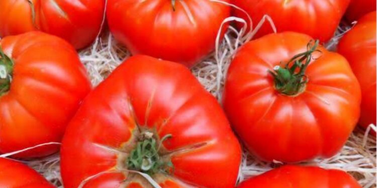 A imprecisão como cultura brasileira, por João Gualberto