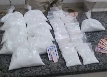 Motorista é detido em BR transportando 1,5kg de cocaína pronta para venda