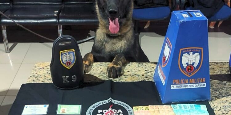 Força Tática, K9 e Polícia Civil apreendem drogas e dinheiro no bairro Vila Landinha, em Barra de São Francisco