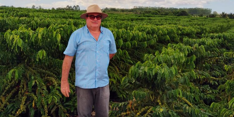 Paradoxo do preço do café: não é somente o clima, diz especialista