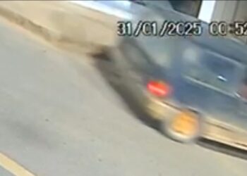 Polícia recupera 400kg de pimenta roubada e devolve ao dono