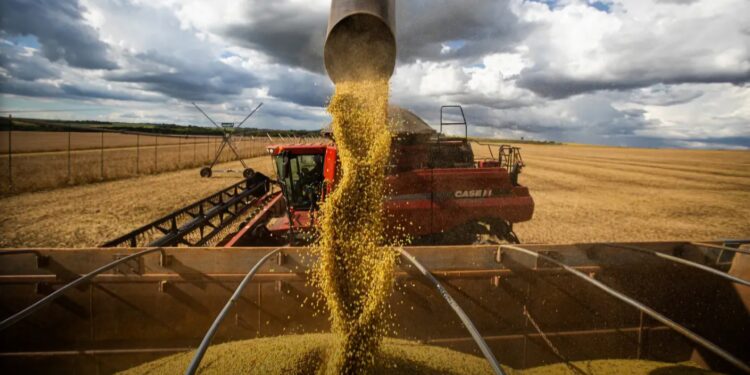 Governo Federal suspende financiamentos agrícola Governo Federal suspende financiamentos agrícola