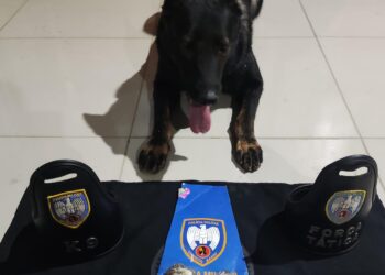BSF: PM apreende drogas na Escadaria 7 de Setembro, no bairro Colina